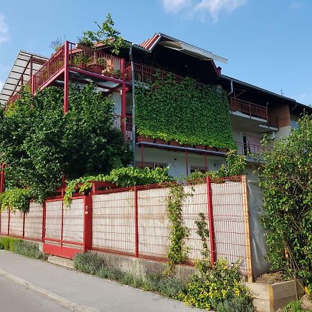 דירות Ljubljana'S Terrace מראה חיצוני תמונה