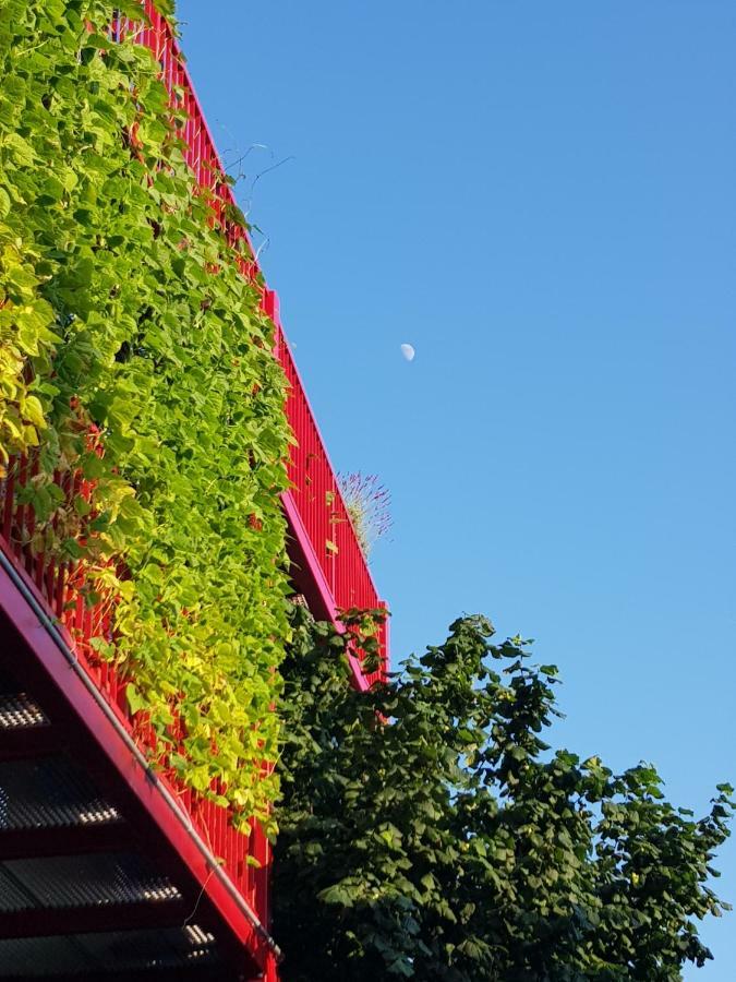 דירות Ljubljana'S Terrace מראה חיצוני תמונה